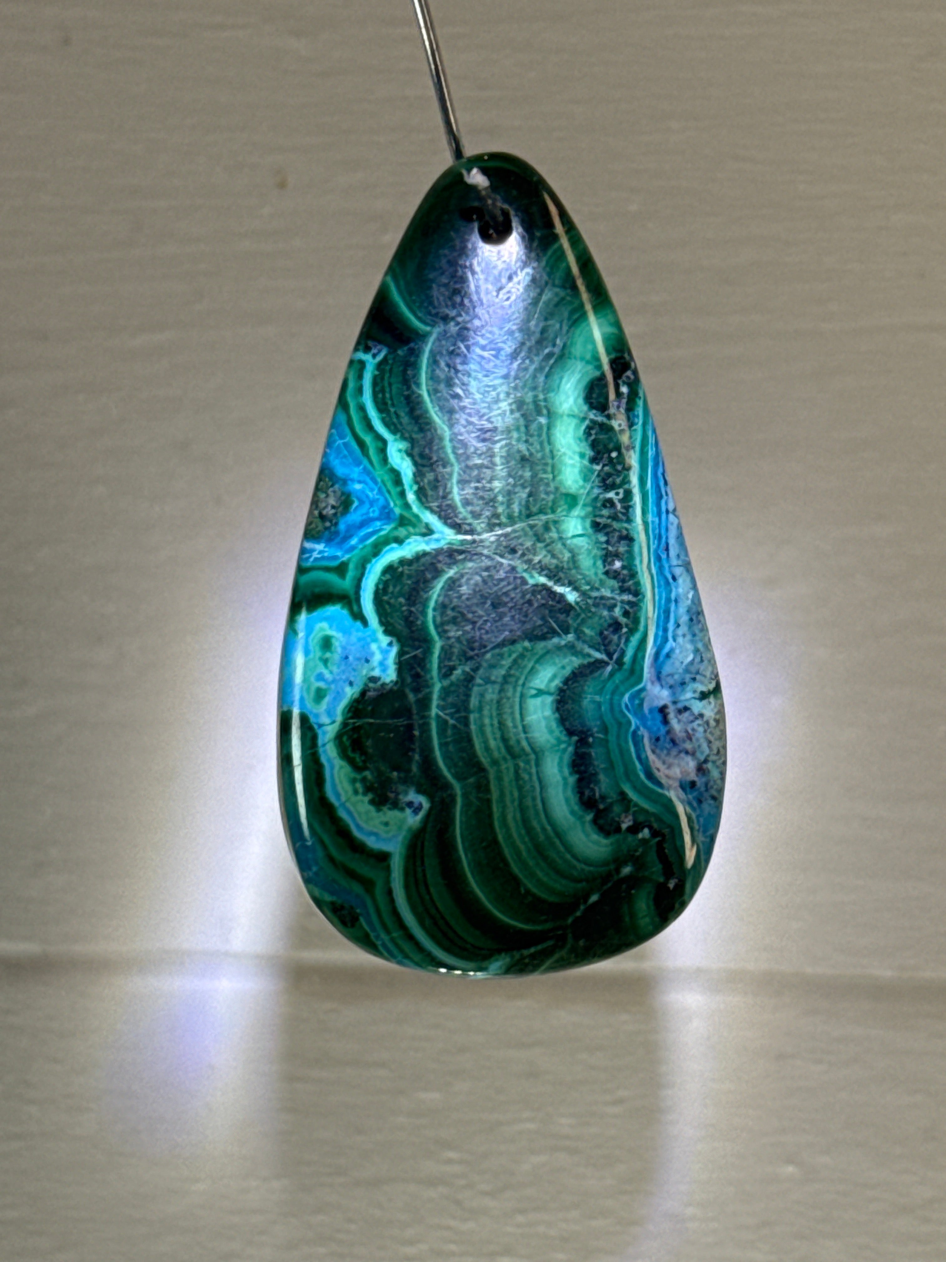 Malacholla Pendant