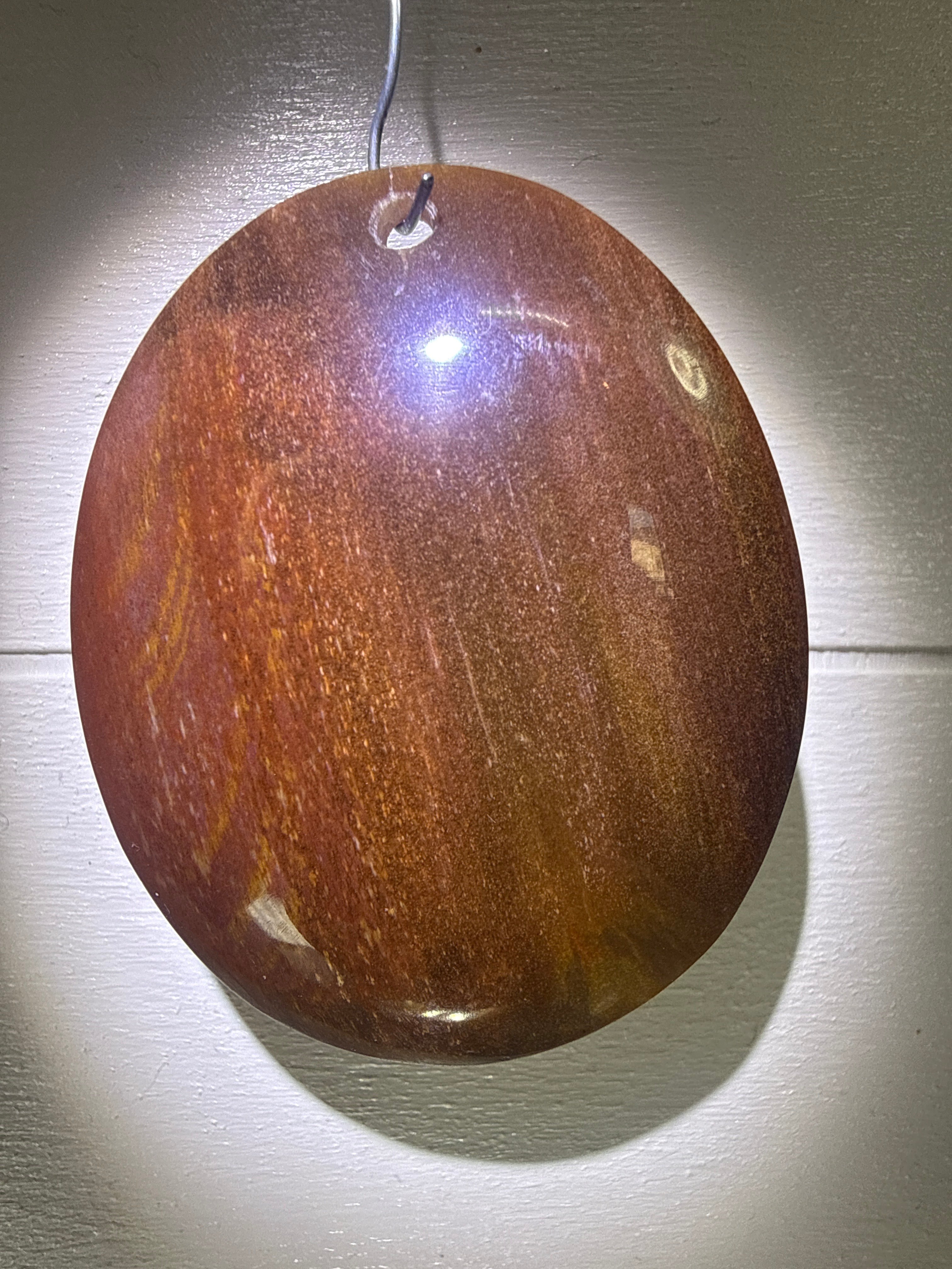 Petrified Wood Pendant