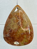 Fossil Coral Pendant