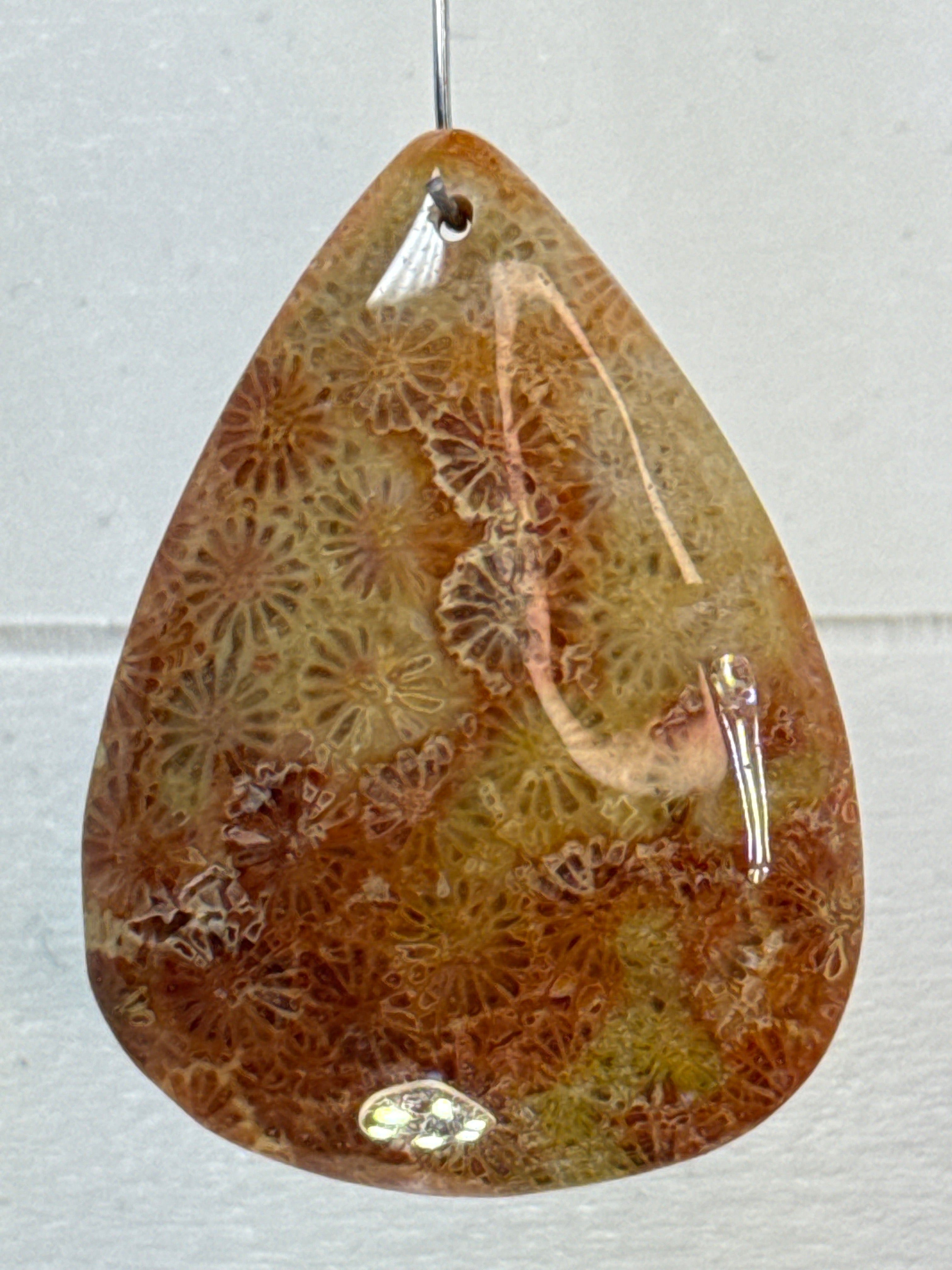 Fossil Coral Pendant