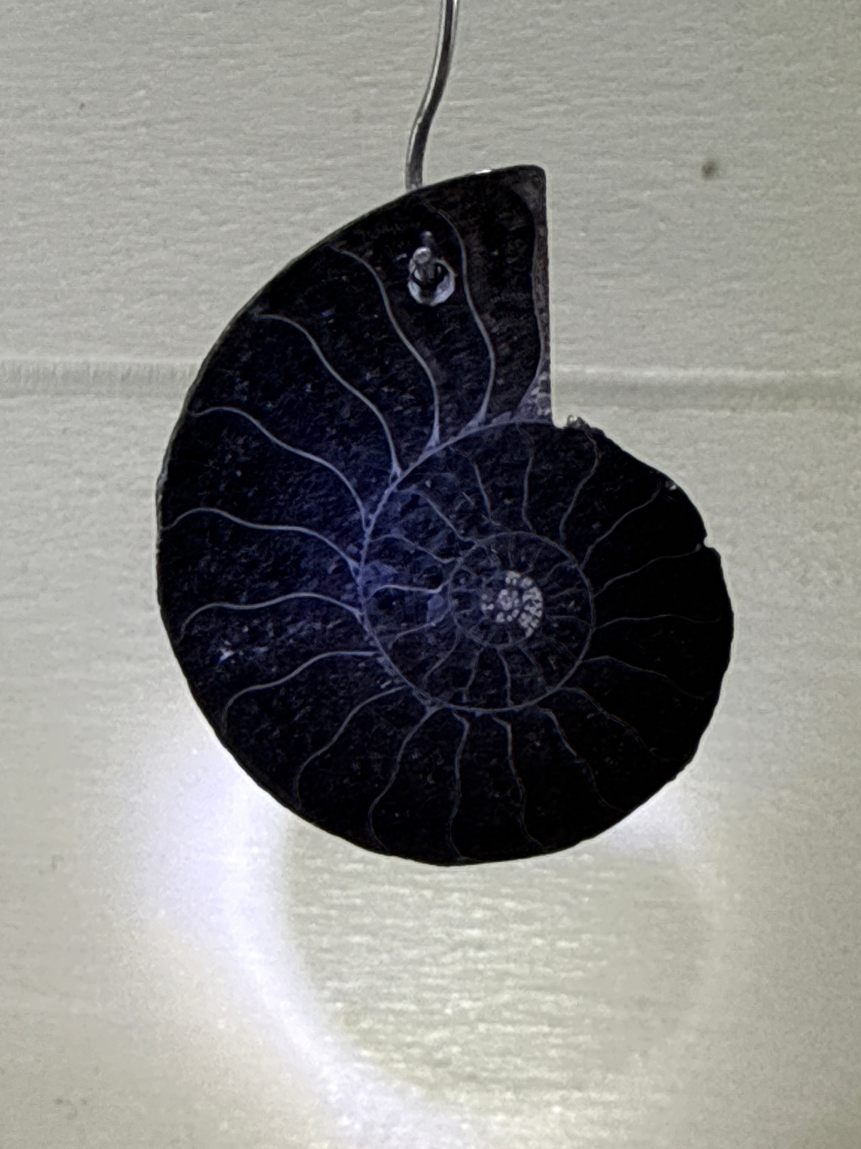 Black Ammonite Pendant