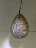 Fossil Coral Pendant