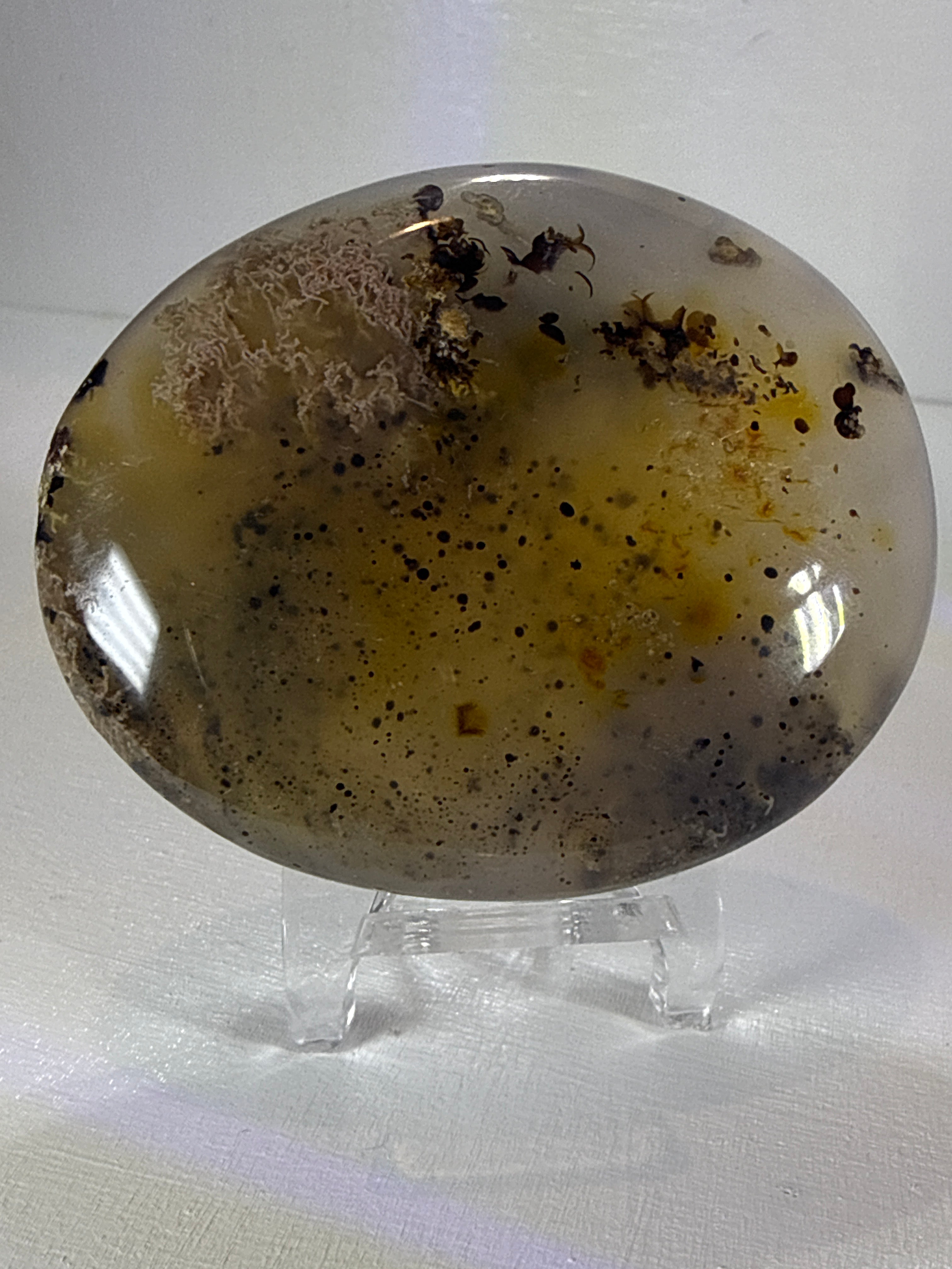 Dendritic Moss Agate Palm Stone