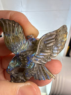 Carved Labradorite Eagle Pendant