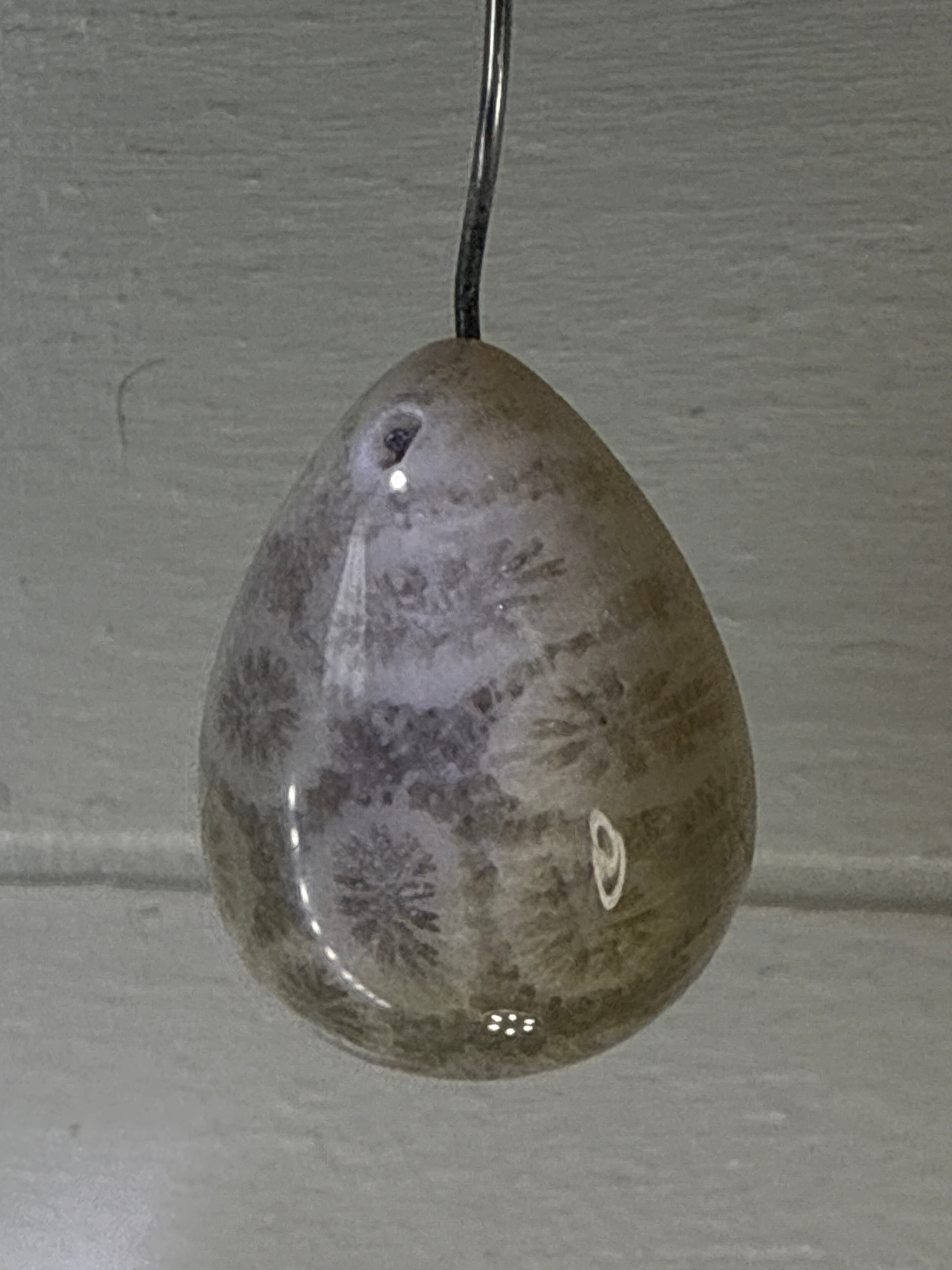 Fossil Coral Pendant