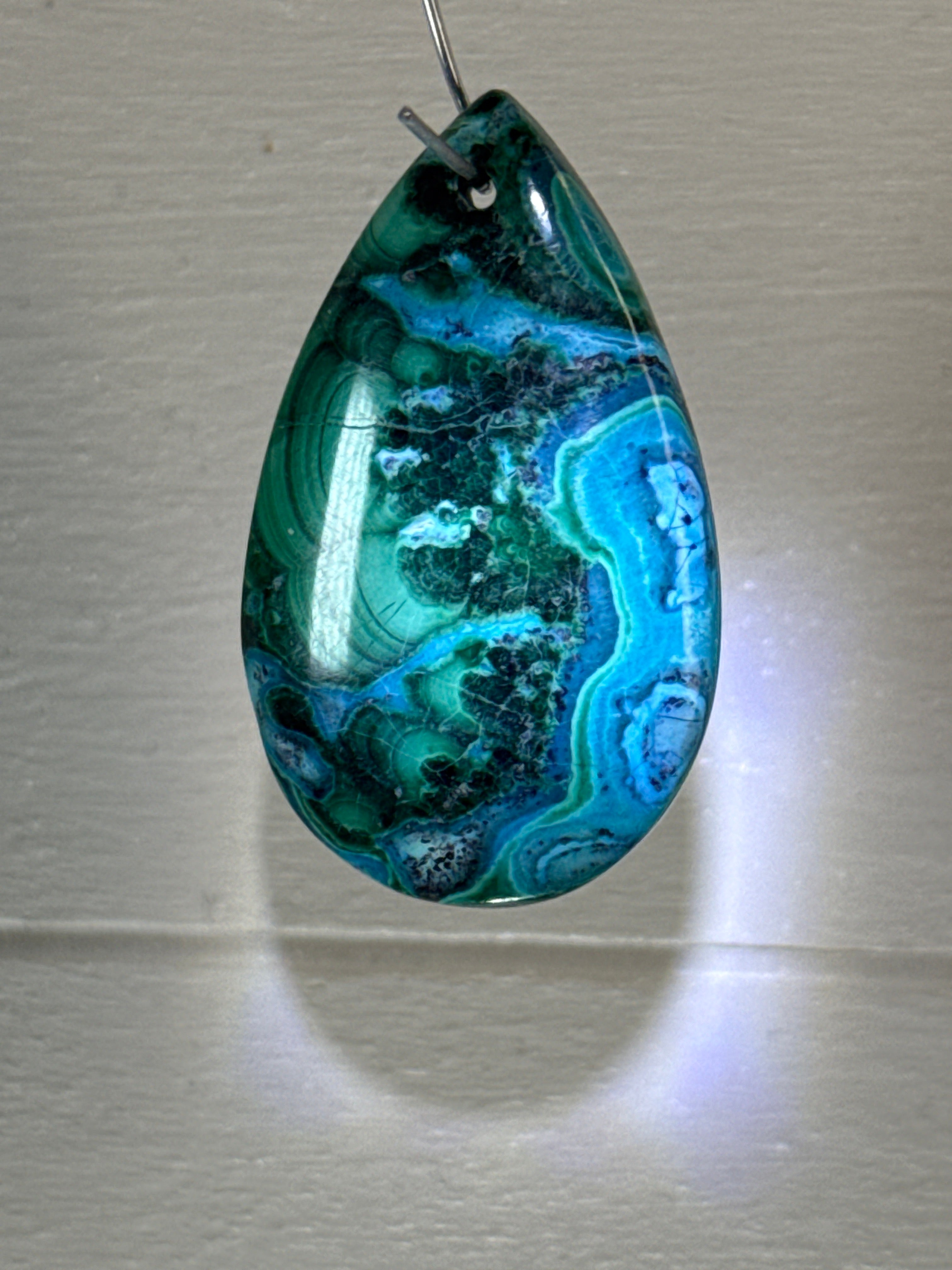 Malacholla Pendant