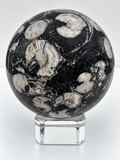 Shell Jasper Sphere