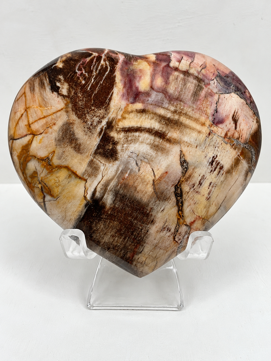 Petrified Wood Heart