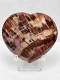 Petrified Wood Heart