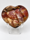 Petrified Wood Heart