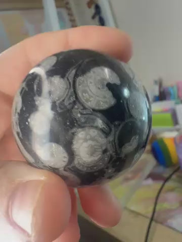 Shell Jasper Sphere